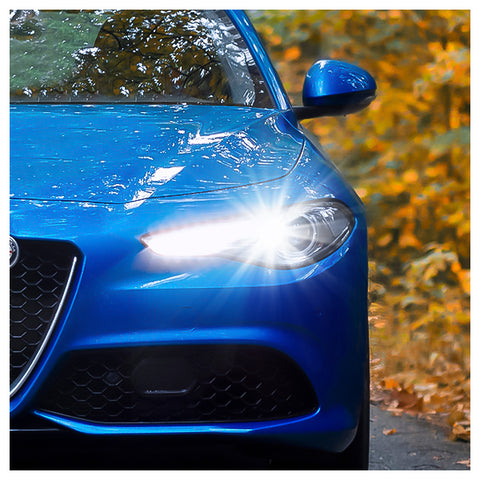 Headlight Bulbs