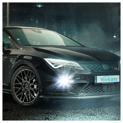 Fog Lights