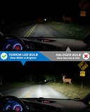 Yorkim H4 9003 LED Headlight Bulbs Canbus Ready  HB2 Led Headlight Bulb 6500K Xenon Pack of 2(9003-canbus)