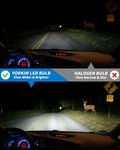 Yorkim 9006/HB4 LED Headlight Bulbs Canbus Ready 9006 Low Beam/Fog Light 6500K Xenon White Pack of 2(9006-canbus)
