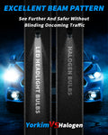 Yorkim 9006/HB4 LED Headlight Bulbs Canbus Ready 9006 Low Beam/Fog Light 6500K Xenon White Pack of 2(9006-canbus)