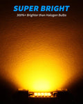 Yorkim 31mm Festoon LED Bulb, Error Free Canbus, DE3022 DE3175 DE3021 LED Bulb, Pack of 4 (Amber)
