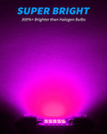 Yorkim DE3022 LED Bulb 31mm Festoon LED Bulb pink Super Bright CANBUS 10-SMD 4014 Chipsets, 3175 LED Bulb, DE3175 LED Bulb, 3022 LED for Car Interior Dome map Lights